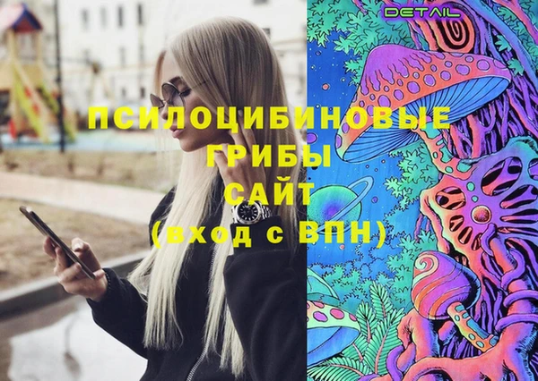 трава Богданович