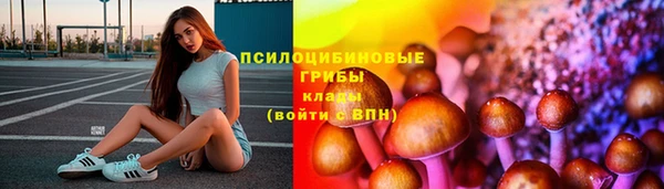 spice Балахна