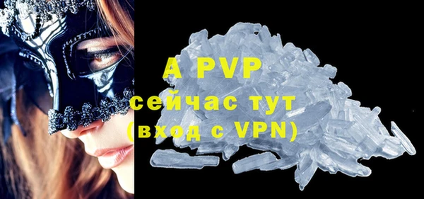прущие грибы Богородск