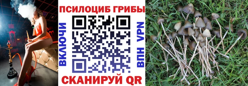 Галлюциногенные грибы прущие грибы  это как зайти  Вельск 